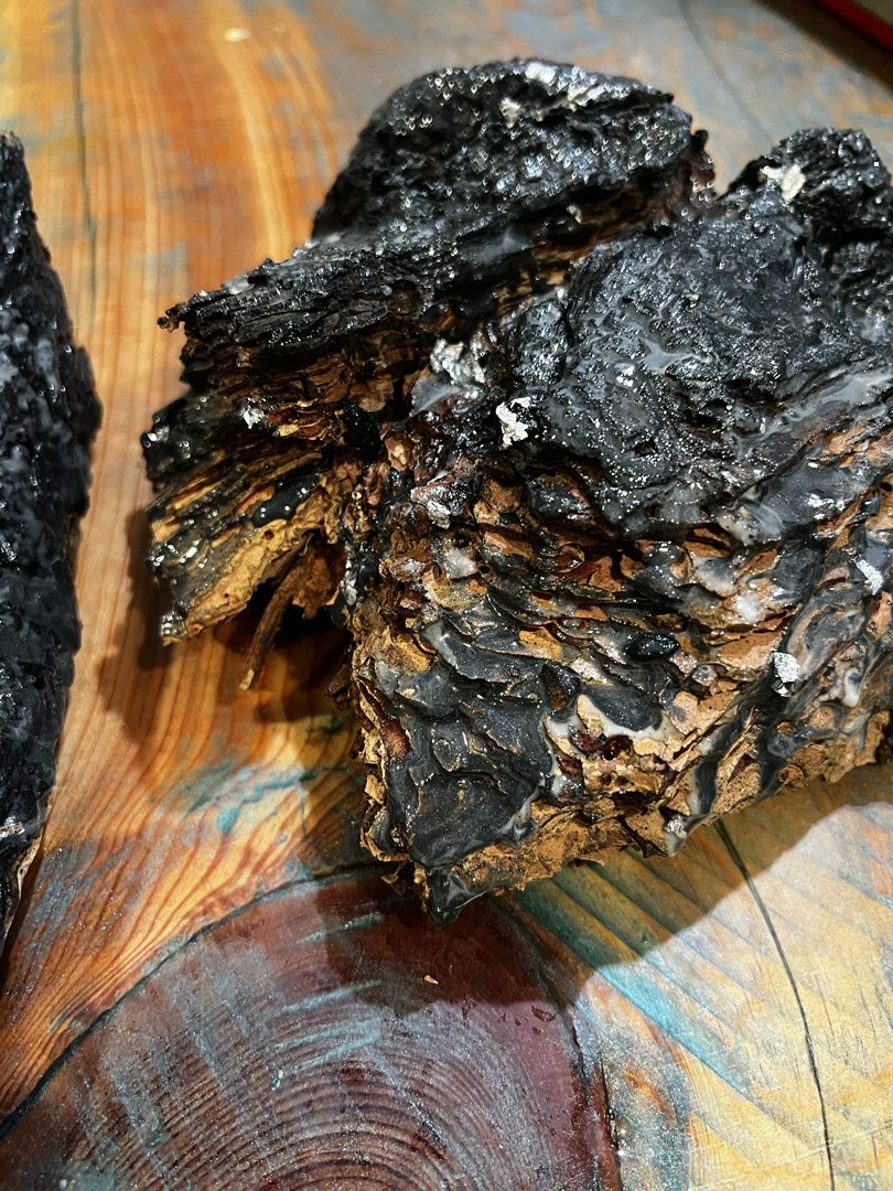 Forest fire epoxy art